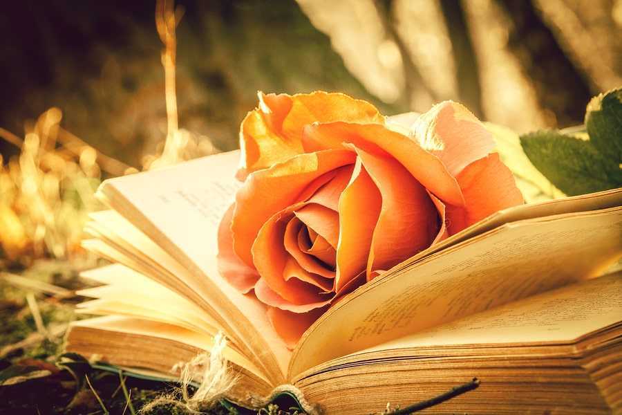 7 Romance Novel Writing Tips