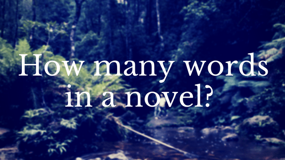 How Many Words In A Novel