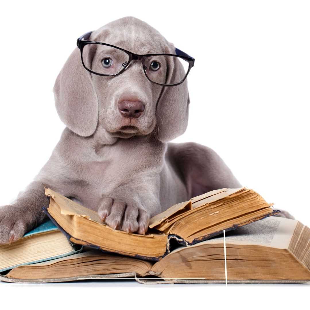 You’ve Published Your Novel. What Did You Learn?