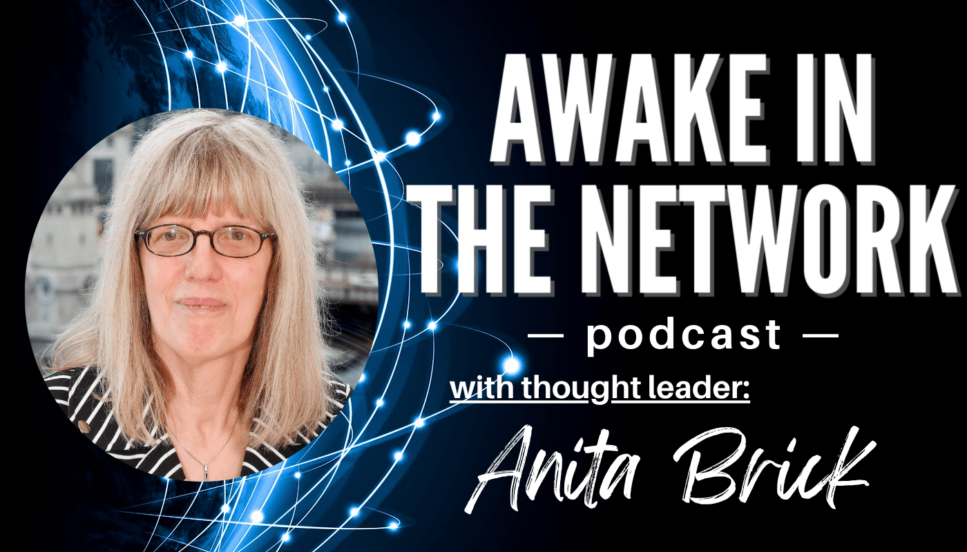 Transform Your Story, Transform The World:   Featured Guest: Anita Brick On “Awake In The Network”